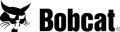 Bobcat
