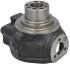 85805981 (149147) Поворотный кулак New Holland, Carraro
