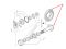 9968925 (065493, 0.900.0667.7) Головна пара New Holland, Carraro 15/32