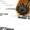Піввісь у зборі 85827741, 149148 Carraro Komatsu WB93/97R/S