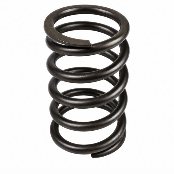 Parker P2-145-3001 Пружина блоку циліндрів для P2145 SKS