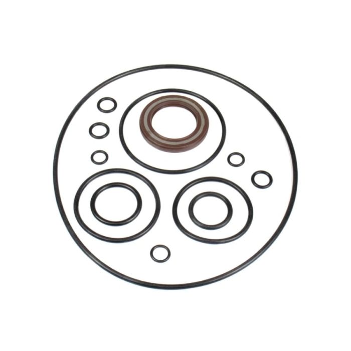 Toshiba T165754 Ремкомплект гідромотора для SG025