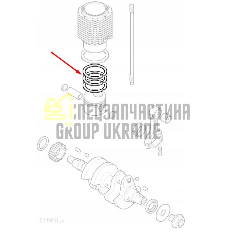 00573203 Поршневі кільця Hatz E780