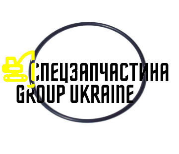 Кільце ущільнювача New Holland, DANA SPICER 001.05.1178, 001051178